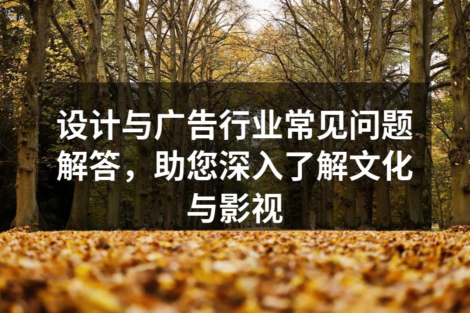 设计中的风格选择分析